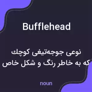 معنی bufflehead به فارسی معنی bufflehead به فارسی