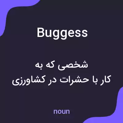 معنی buggess به فارسی معنی buggess به فارسی