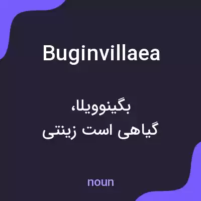 معنی buginvillaea به فارسی معنی buginvillaea به فارسی