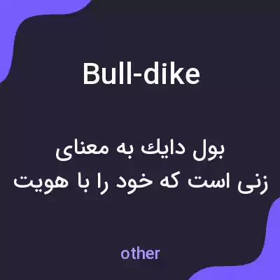 معنی bull-dike به فارسی معنی bull-dike به فارسی