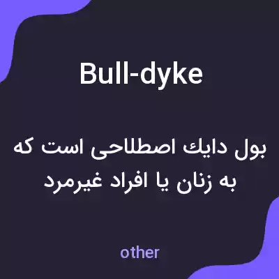 معنی bull-dyke به فارسی معنی bull-dyke به فارسی