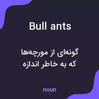 معنی bull ants به فارسی معنی bull ants به فارسی