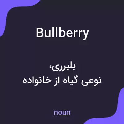 معنی bullberry به فارسی