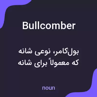 معنی bullcomber به فارسی
