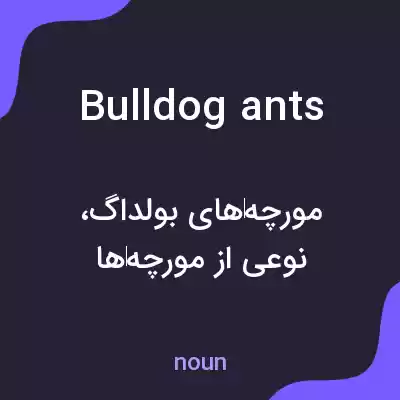 معنی bulldog ants به فارسی معنی bulldog ants به فارسی