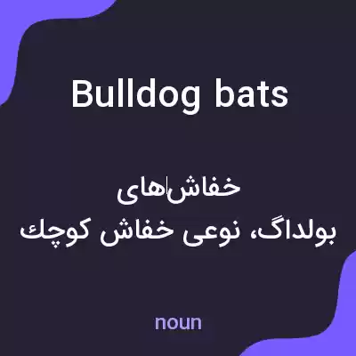 معنی bulldog bats به فارسی معنی bulldog bats به فارسی