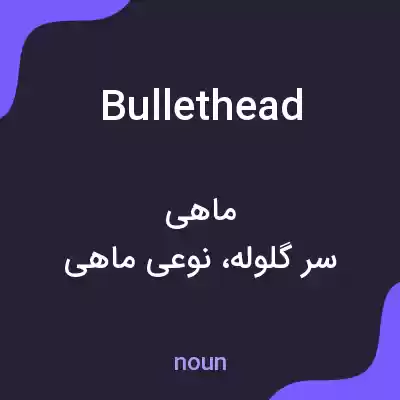 معنی bullethead به فارسی معنی bullethead به فارسی