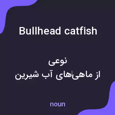 معنی bullhead catfish به فارسی معنی bullhead catfish به فارسی