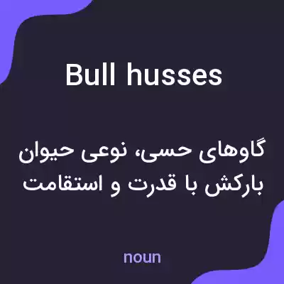 معنی bull husses به فارسی معنی bull husses به فارسی