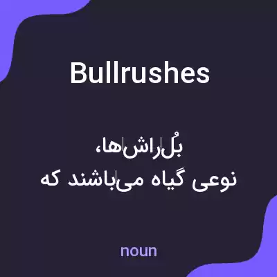 معنی bullrushes به فارسی معنی bullrushes به فارسی