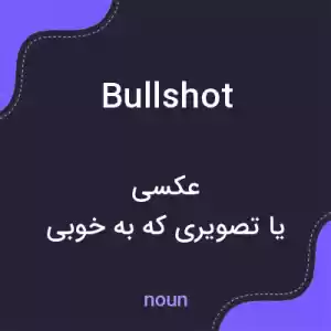 معنی bullshot به فارسی معنی bullshot به فارسی