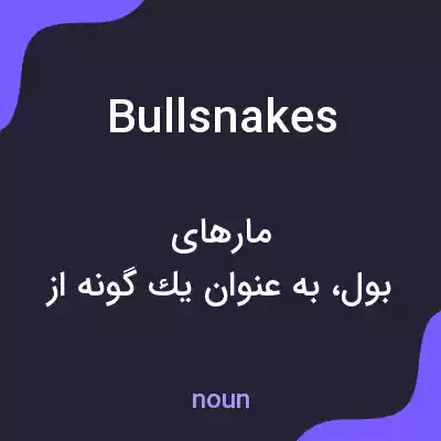معنی bull snakes به فارسی معنی bull snakes به فارسی