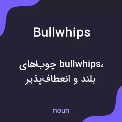 معنی bullwhips به فارسی معنی bullwhips به فارسی