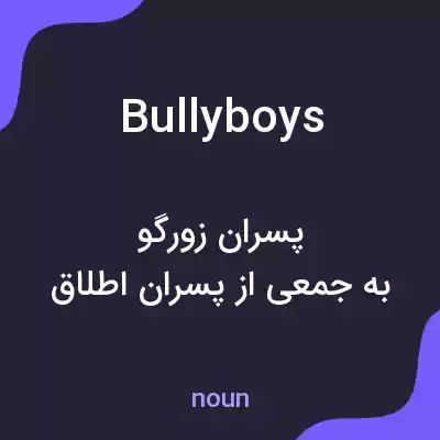 معنی bully boys به فارسی معنی bully boys به فارسی