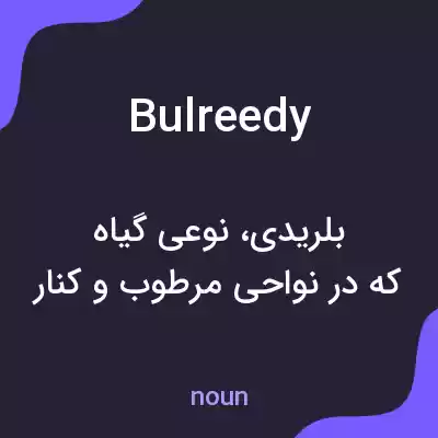 معنی bulreedy به فارسی معنی bulreedy به فارسی
