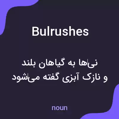 معنی bulrushes به فارسی