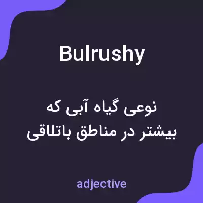 معنی bulrushy به فارسی معنی bulrushy به فارسی