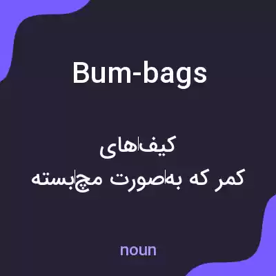 معنی bum-bags به فارسی معنی bum-bags به فارسی