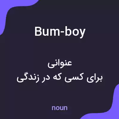 معنی bum-boy به فارسی معنی bum-boy به فارسی