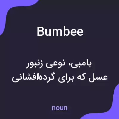 معنی bumbee به فارسی معنی bumbee به فارسی