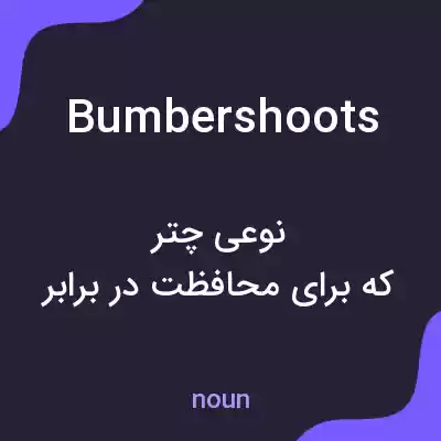 معنی bumbershoots به فارسی معنی bumbershoots به فارسی