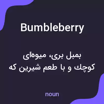 معنی bumbleberry به فارسی معنی bumbleberry به فارسی