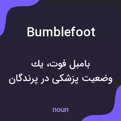 معنی bumblefoot به فارسی معنی bumblefoot به فارسی