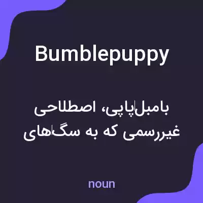 معنی bumblepuppy به فارسی معنی bumblepuppy به فارسی