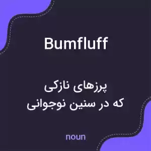 معنی bumfluff به فارسی معنی bumfluff به فارسی
