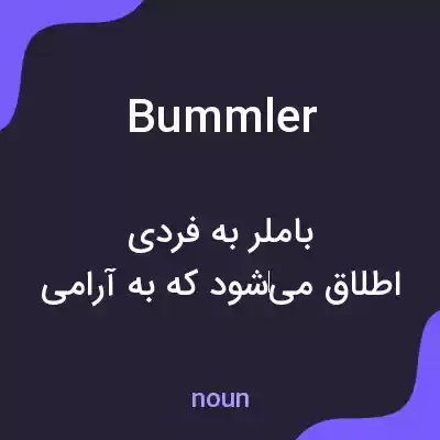 معنی bummler به فارسی معنی bummler به فارسی