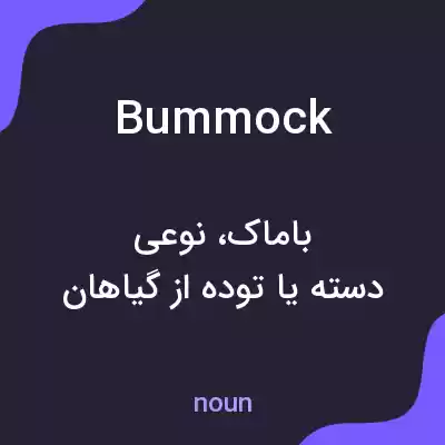 معنی bummock به فارسی معنی bummock به فارسی