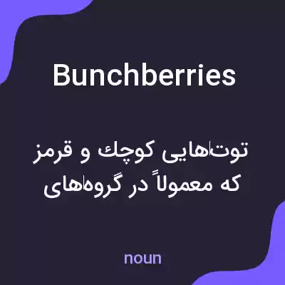 معنی bunchberries به فارسی معنی bunchberries به فارسی