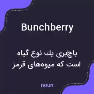 معنی bunchberry به فارسی معنی bunchberry به فارسی