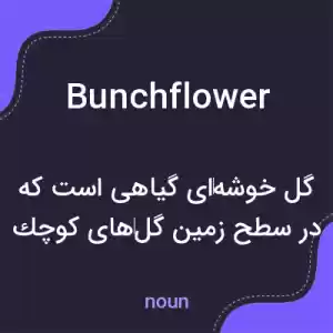 معنی bunchflower به فارسی معنی bunchflower به فارسی