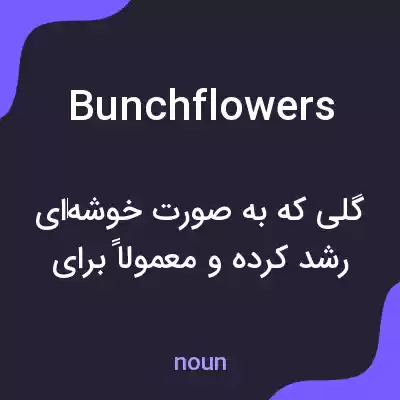 معنی bunchflowers به فارسی معنی bunchflowers به فارسی
