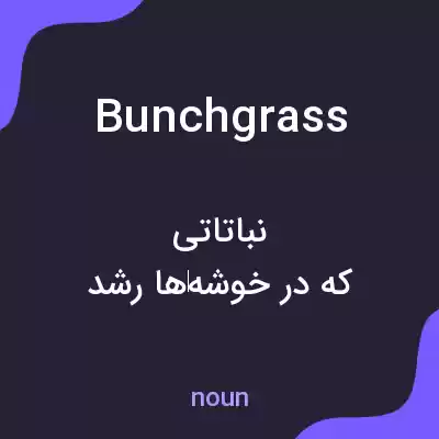 معنی bunchgrass به فارسی معنی bunchgrass به فارسی
