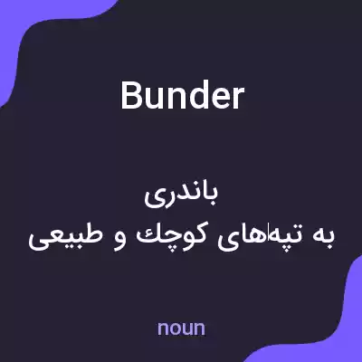 معنی bunder به فارسی معنی bunder به فارسی