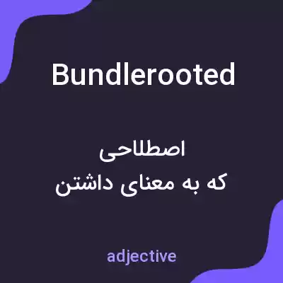 معنی bundlerooted به فارسی