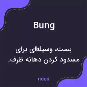 معنی bung به فارسی معنی bung به فارسی