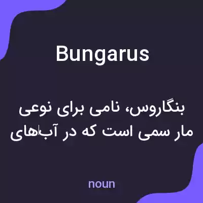 معنی bungarus به فارسی معنی bungarus به فارسی