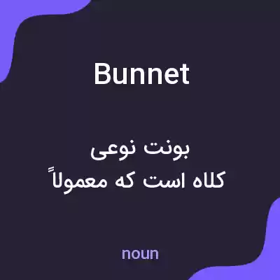 معنی bunnet به فارسی معنی bunnet به فارسی