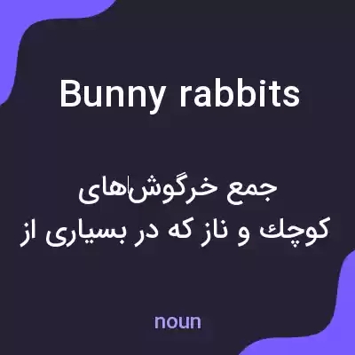معنی bunny rabbits به فارسی معنی bunny rabbits به فارسی