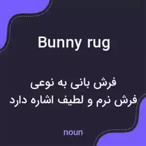 معنی bunny rug به فارسی