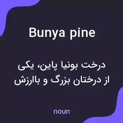 معنی bunya pine به فارسی معنی bunya pine به فارسی