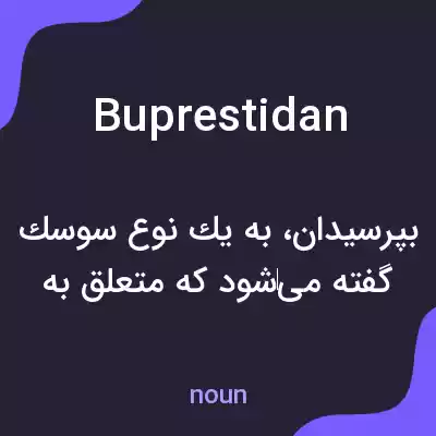 معنی buprestidan به فارسی معنی buprestidan به فارسی