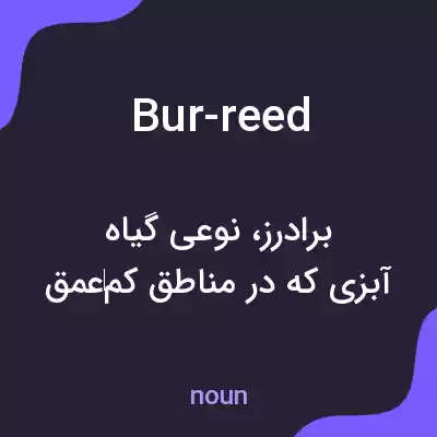 معنی bur-reed به فارسی معنی bur-reed به فارسی