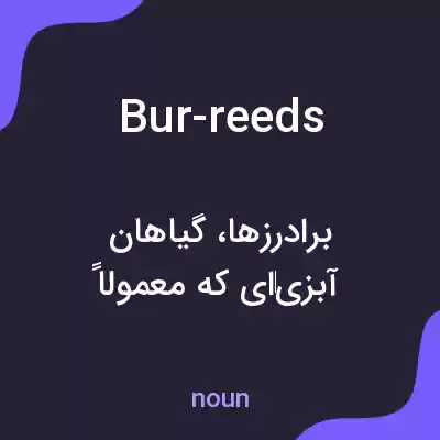 معنی bur-reeds به فارسی معنی bur-reeds به فارسی