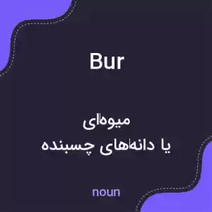 معنی bur به فارسی معنی bur به فارسی