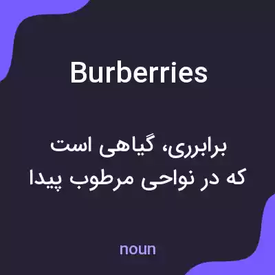 معنی burberries به فارسی معنی burberries به فارسی