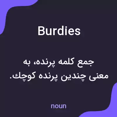 معنی burdies به فارسی معنی burdies به فارسی
